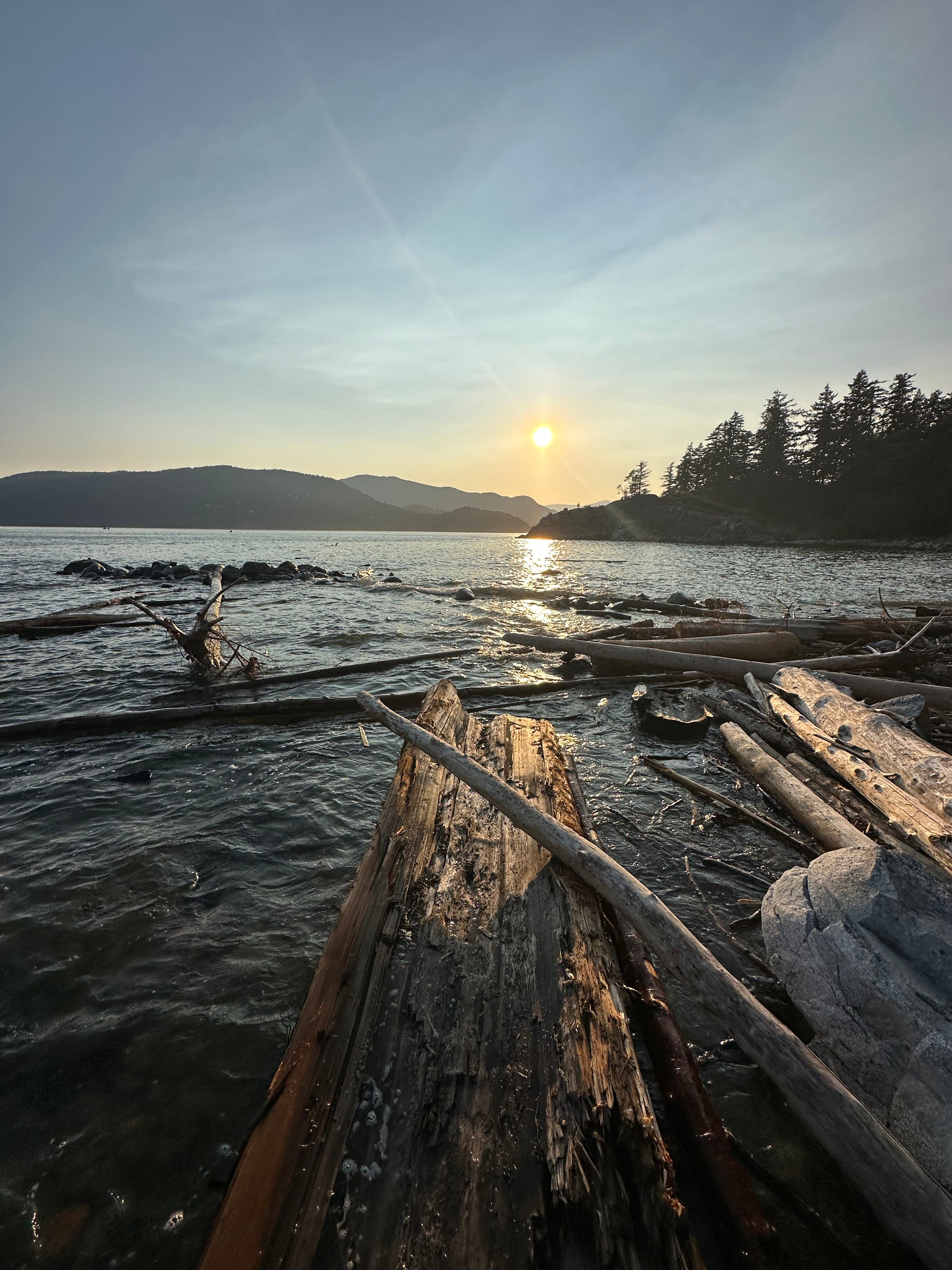 Driftwood Beach
