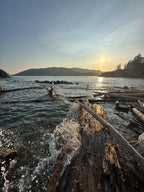 Driftwood Beach