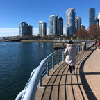 Seawall Water Sculpture