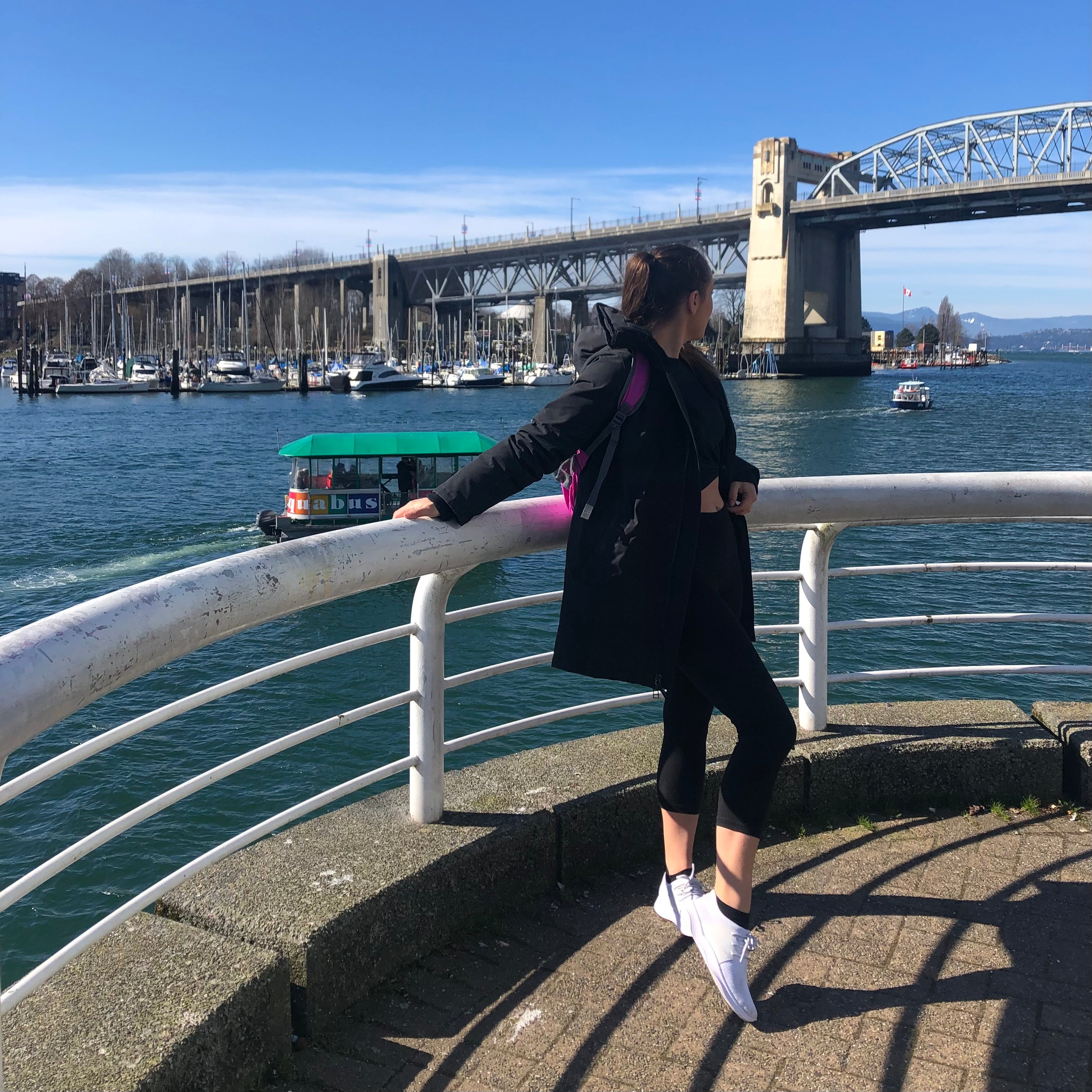 Seawall Bridge