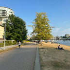 David Lam Park