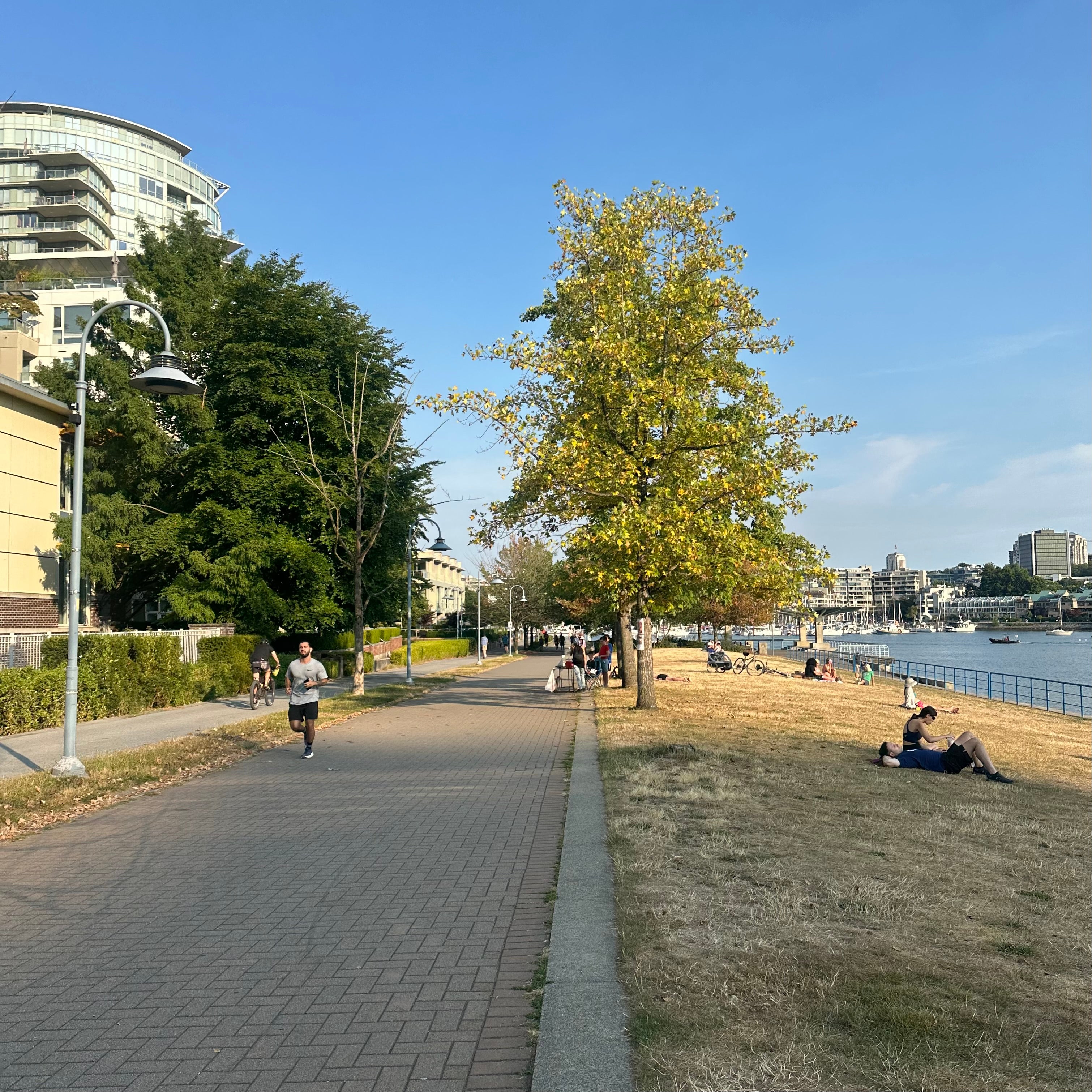 David Lam Park