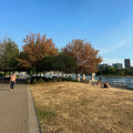 Grass Path East