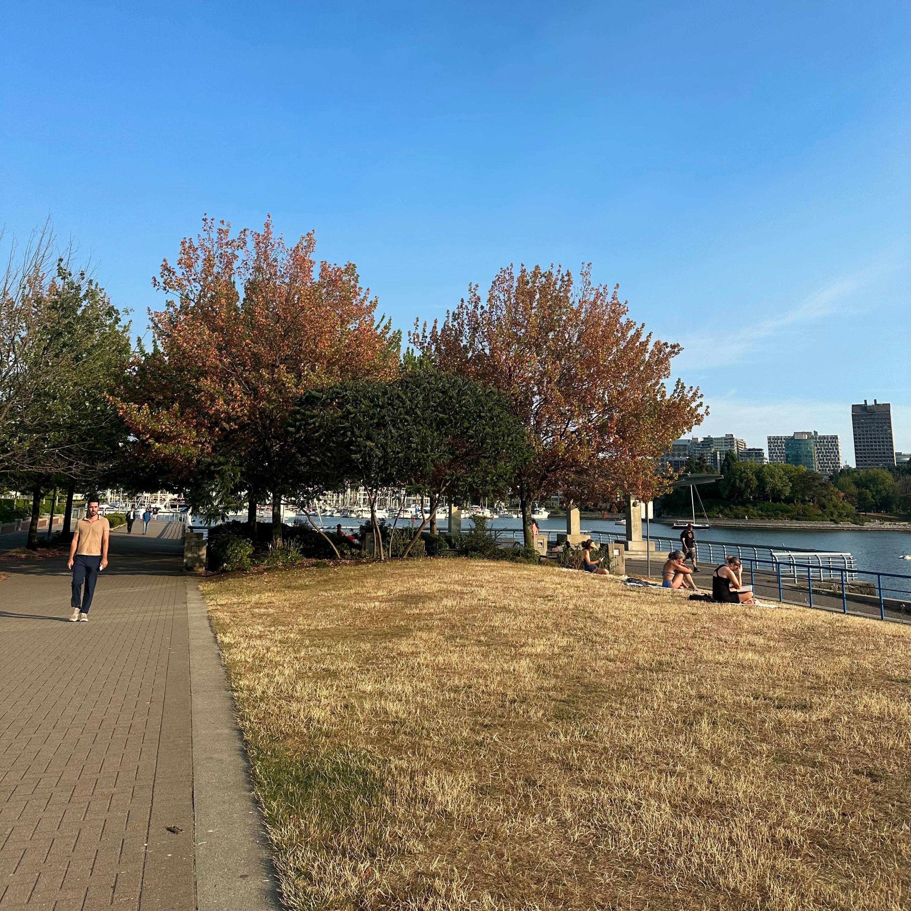 Grass Path East