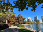 David Lam Park