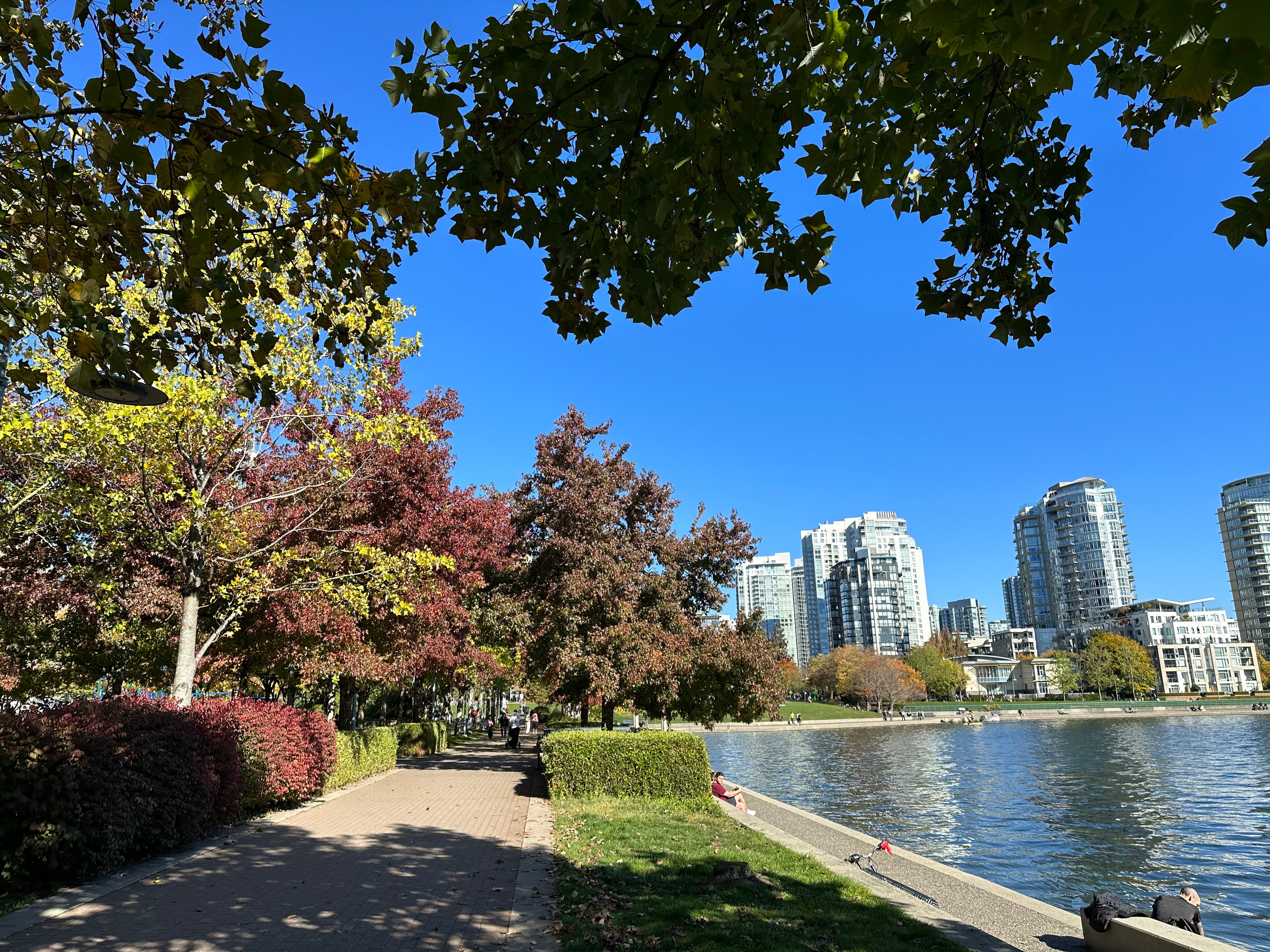 David Lam Park