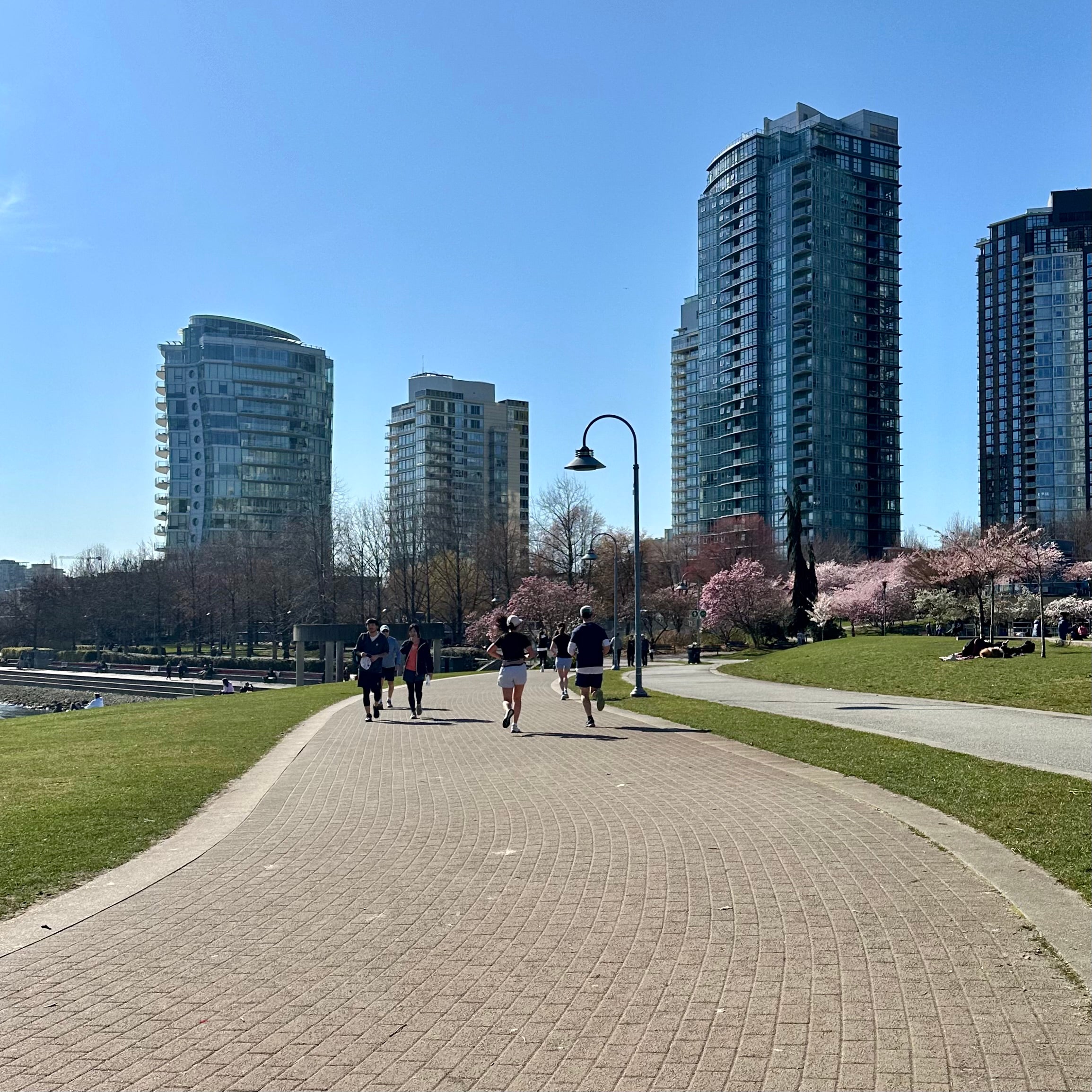 David Lam Park