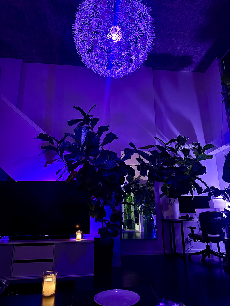 New Years Party