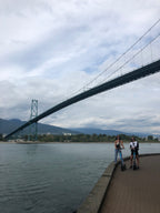 Seawall Under Bridge