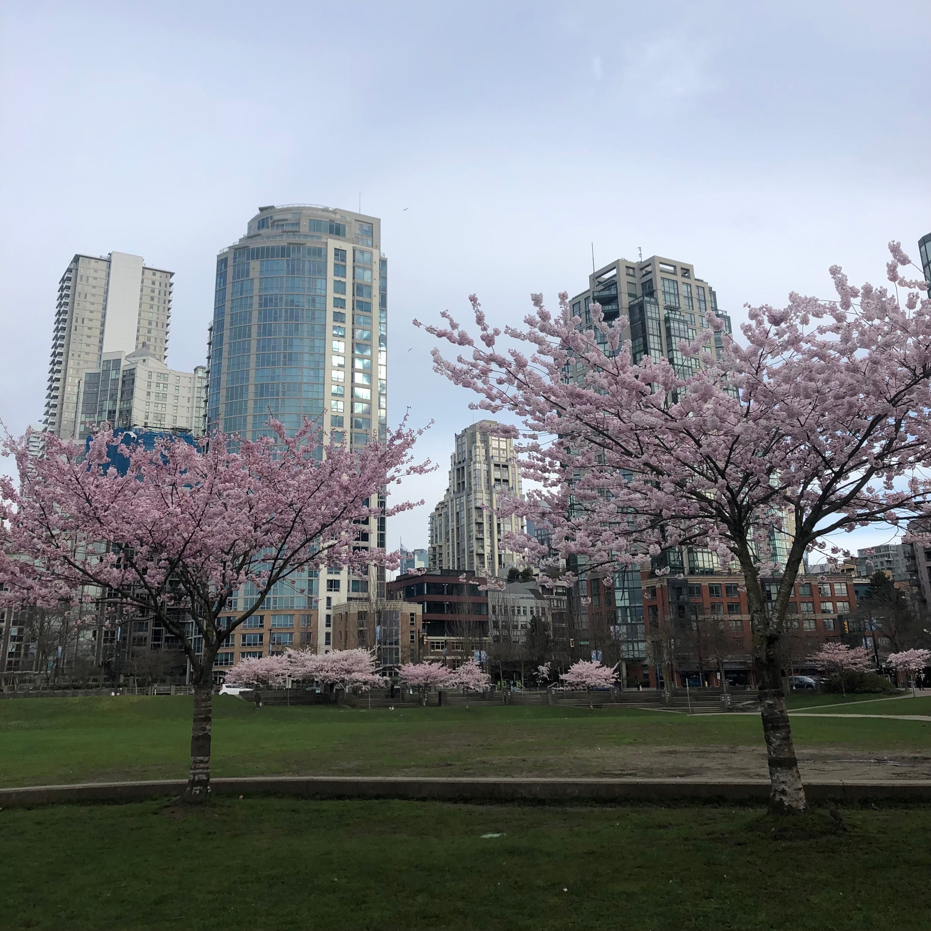 David Lam Park