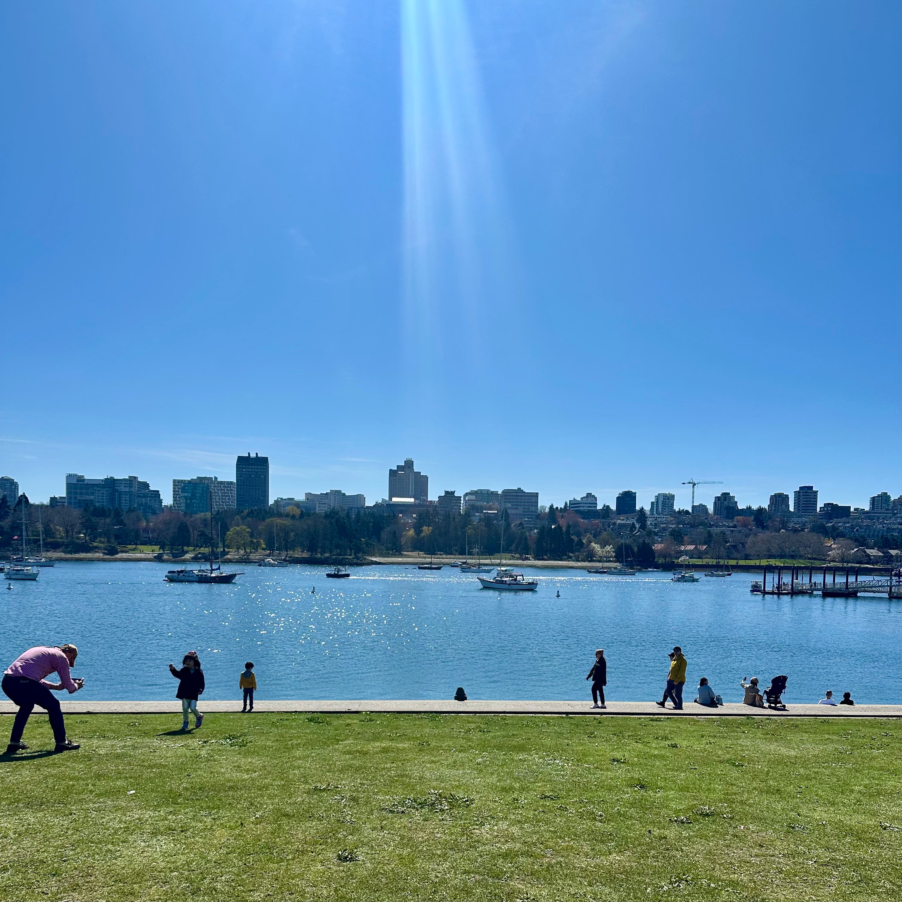 David Lam Park