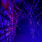 The Blair Witch Party