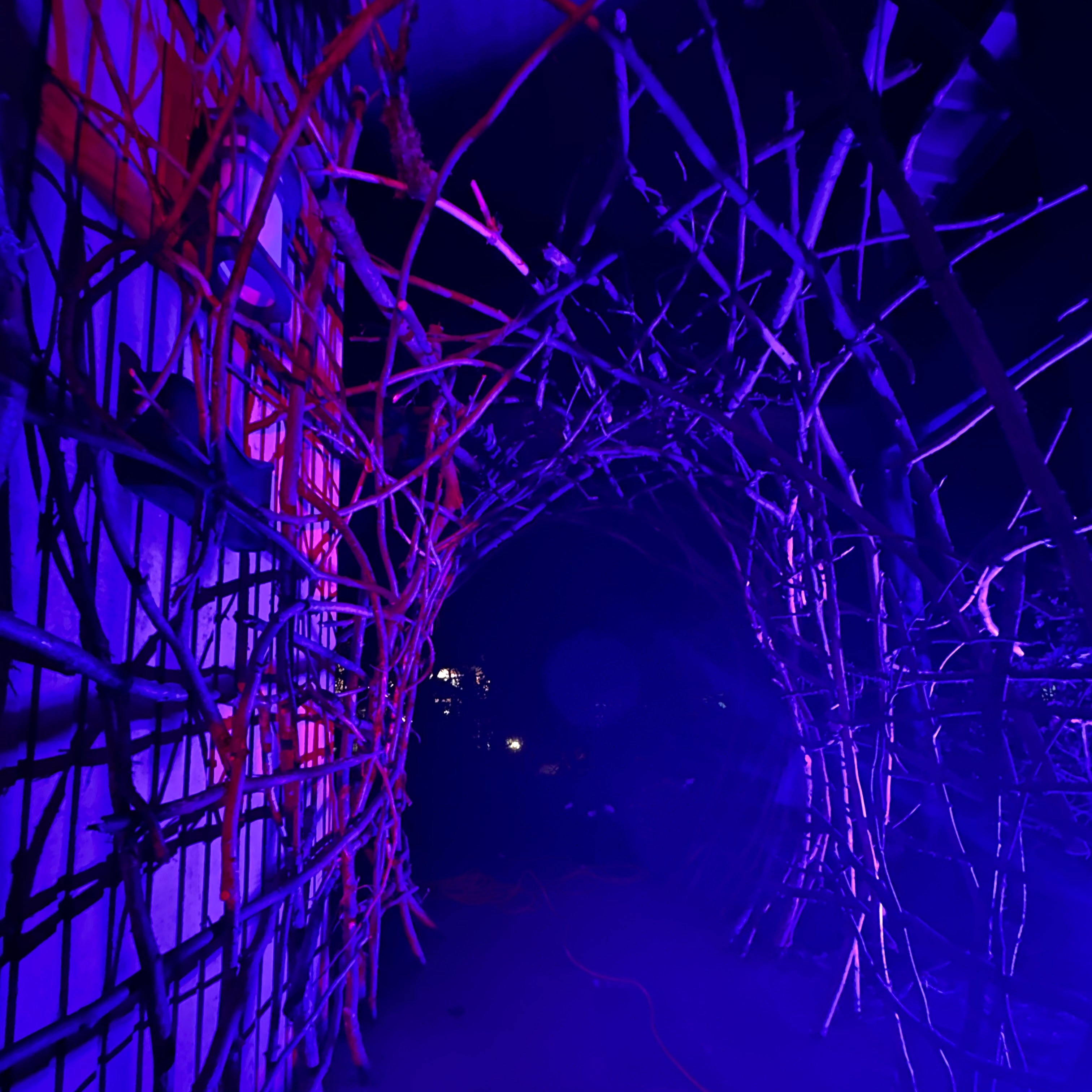 The Blair Witch Party