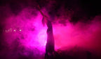Your product, shot emerging from the fog