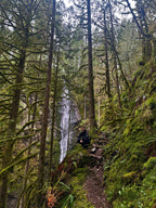 Forest Waterfall Hill