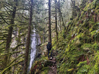 Forest Waterfall Hill