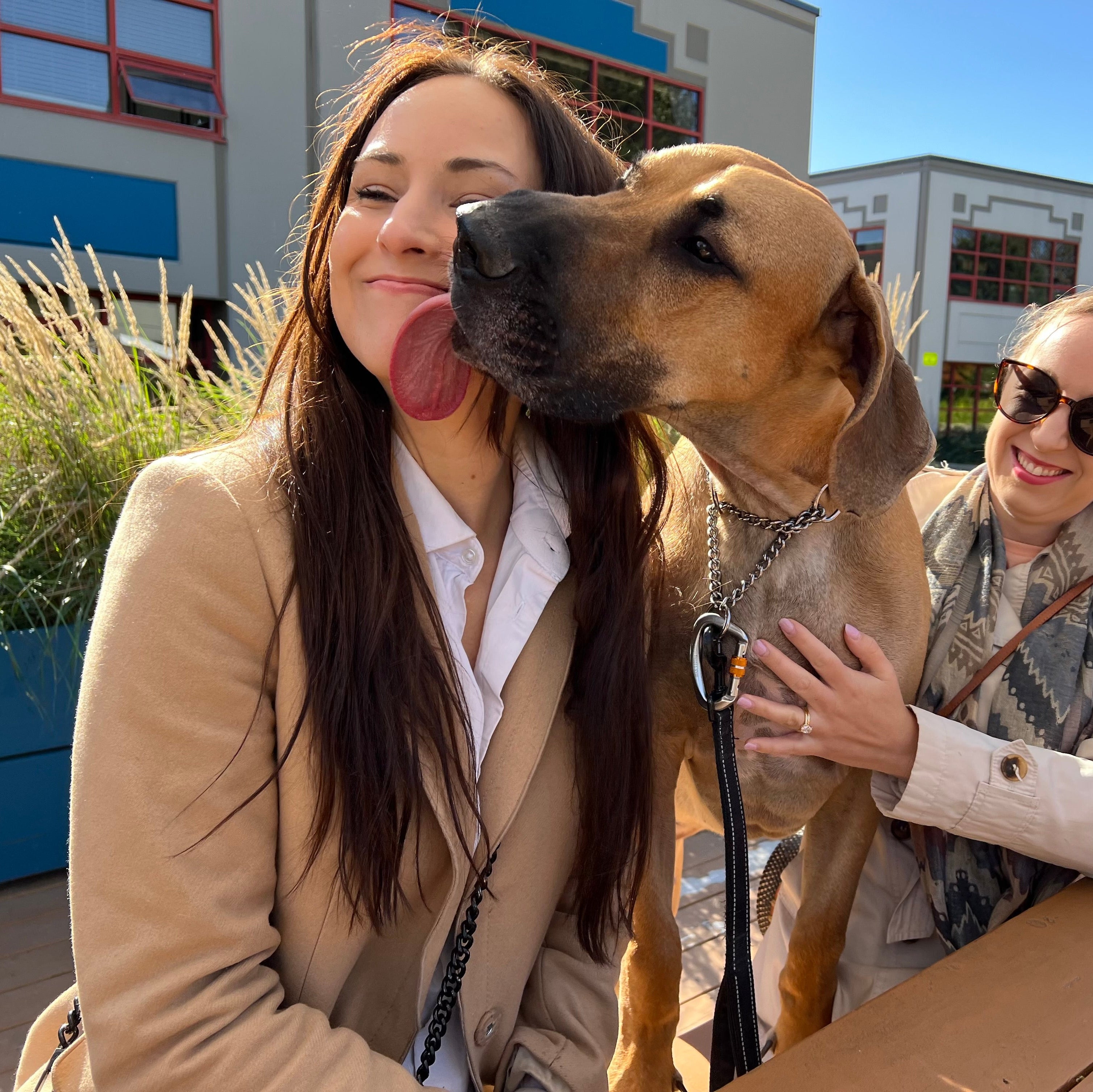 Woman with a large dog outdoors, with another person in the background