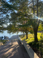 David Lam Park