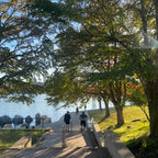 David Lam Park