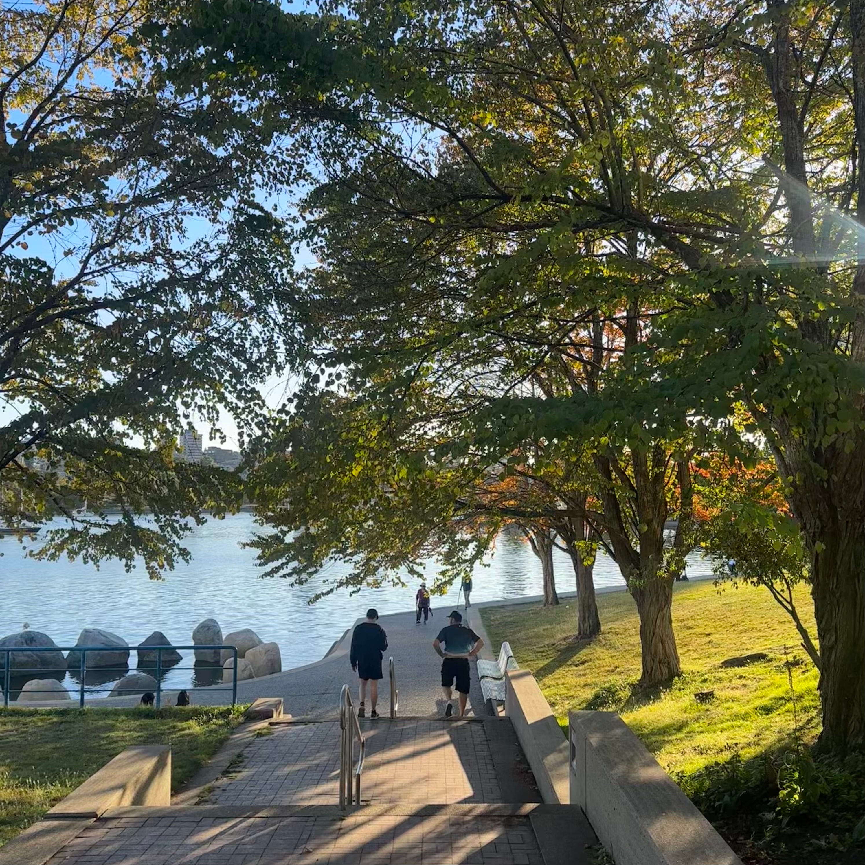 David Lam Park