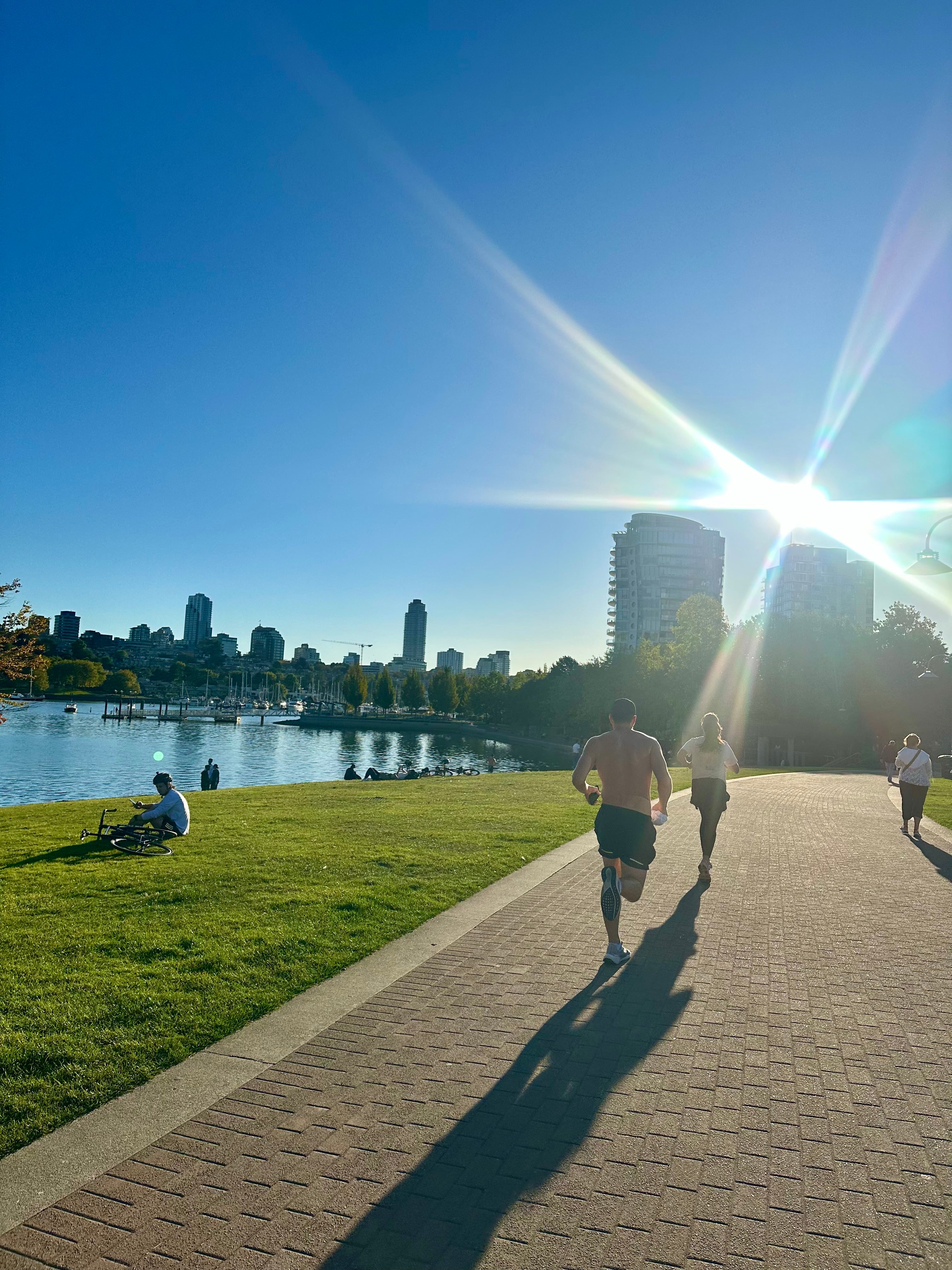 David Lam Park