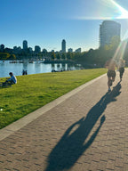 David Lam Park