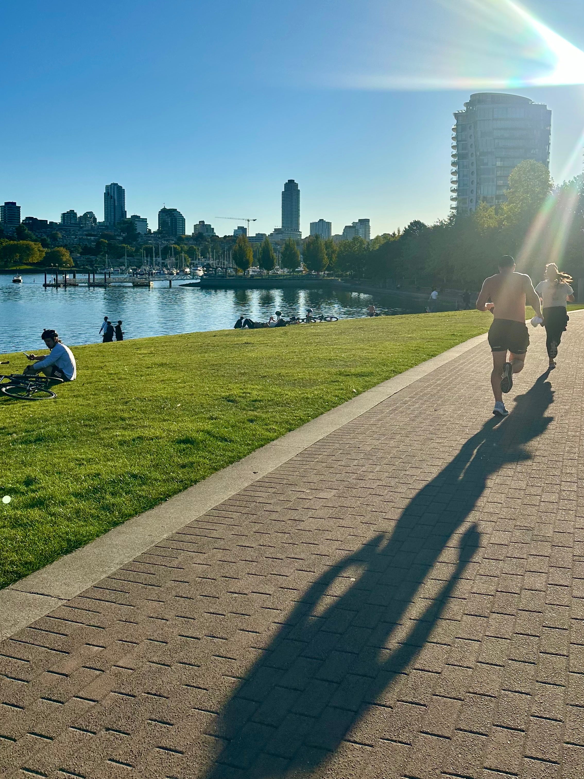 David Lam Park
