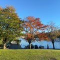 David Lam Park