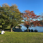 David Lam Park