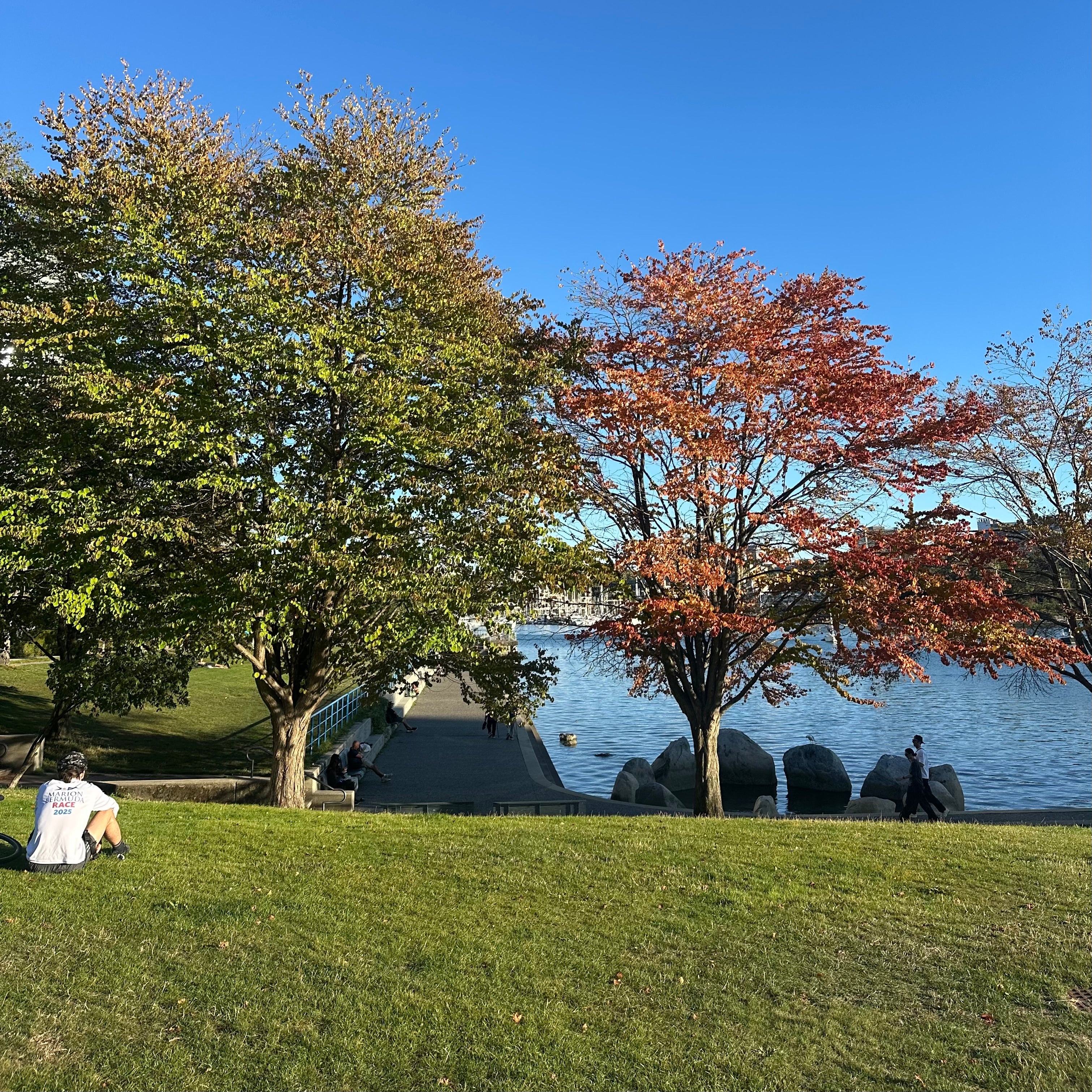 David Lam Park