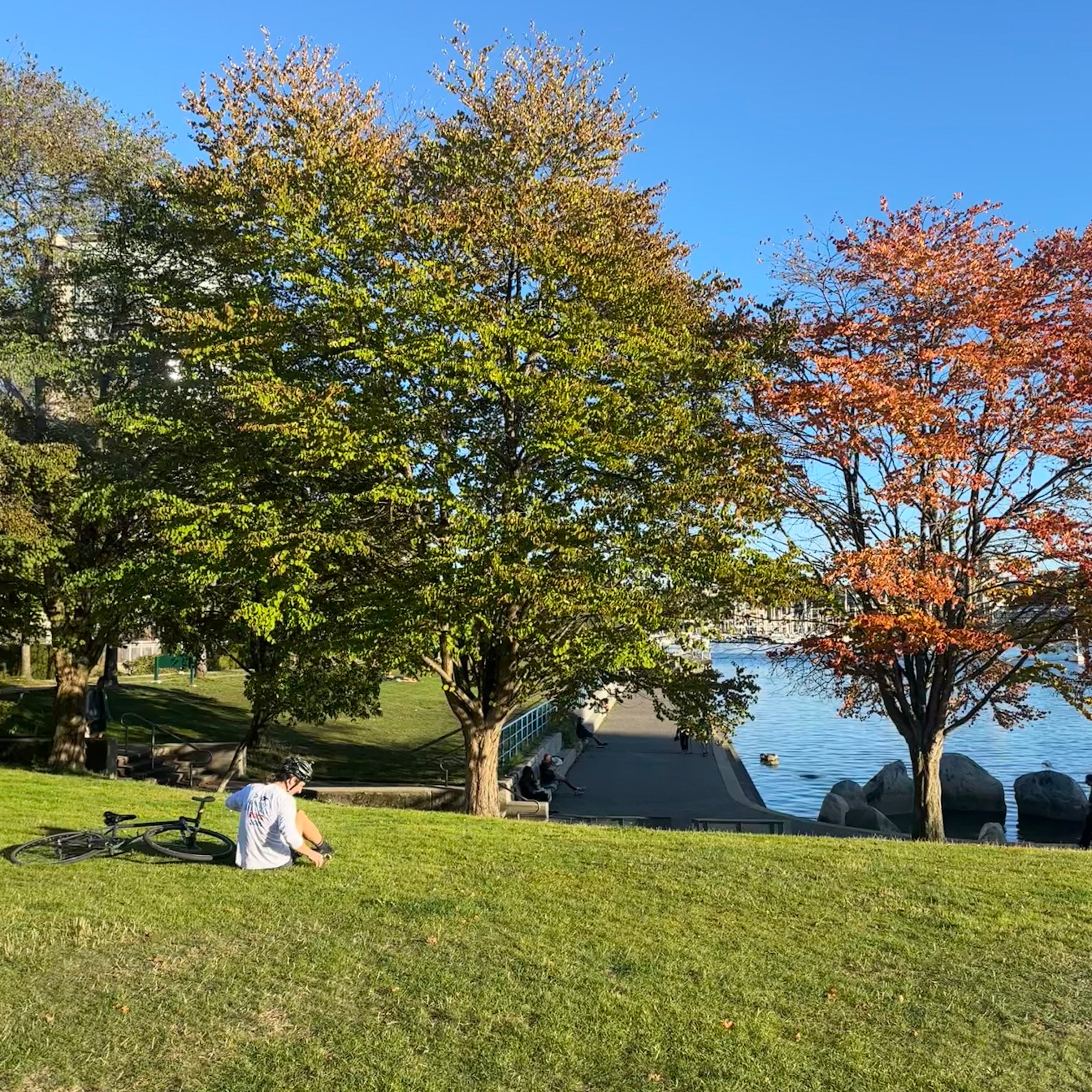 David Lam Park