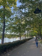 David Lam Park
