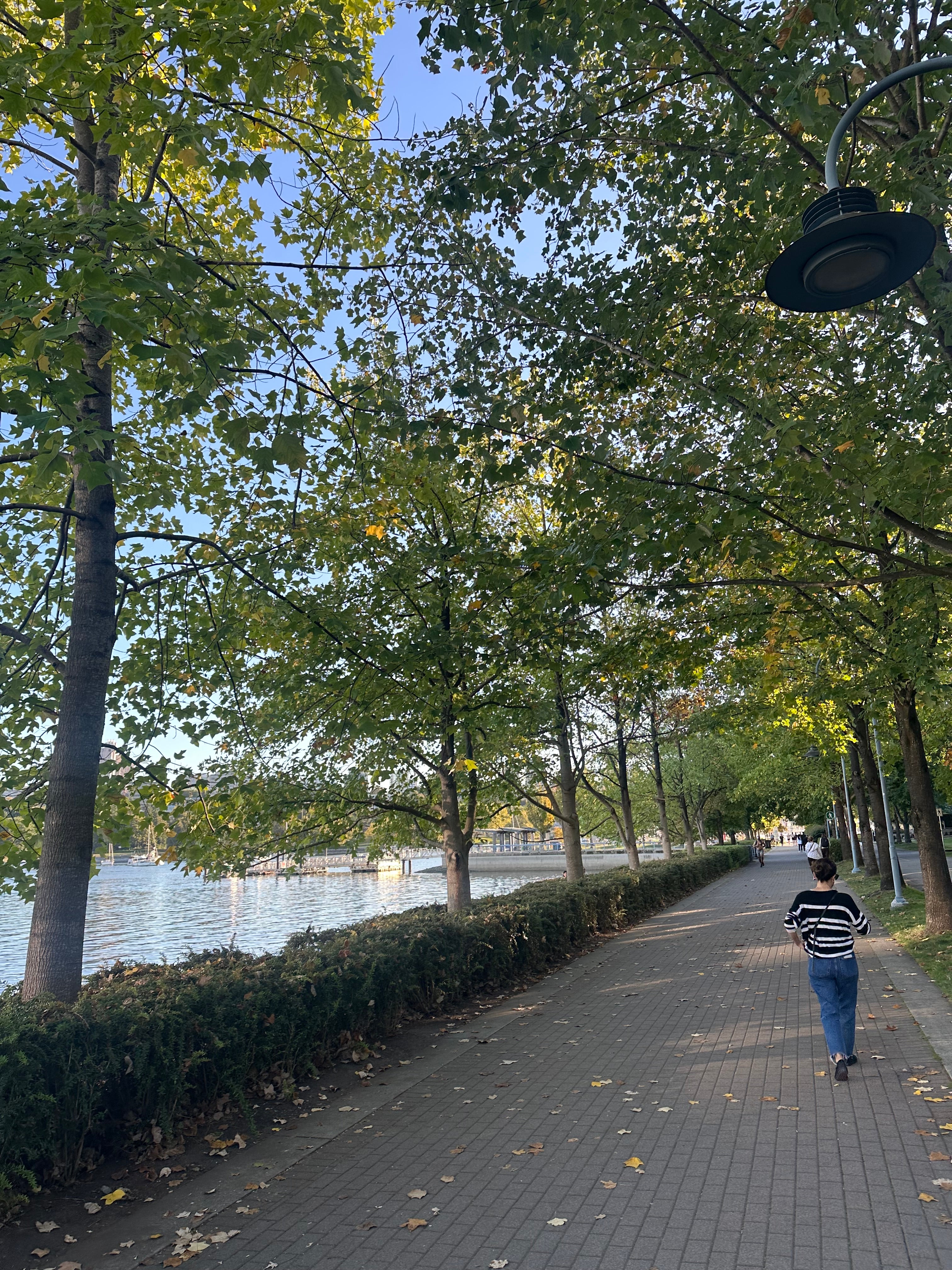 David Lam Park