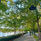 David Lam Park