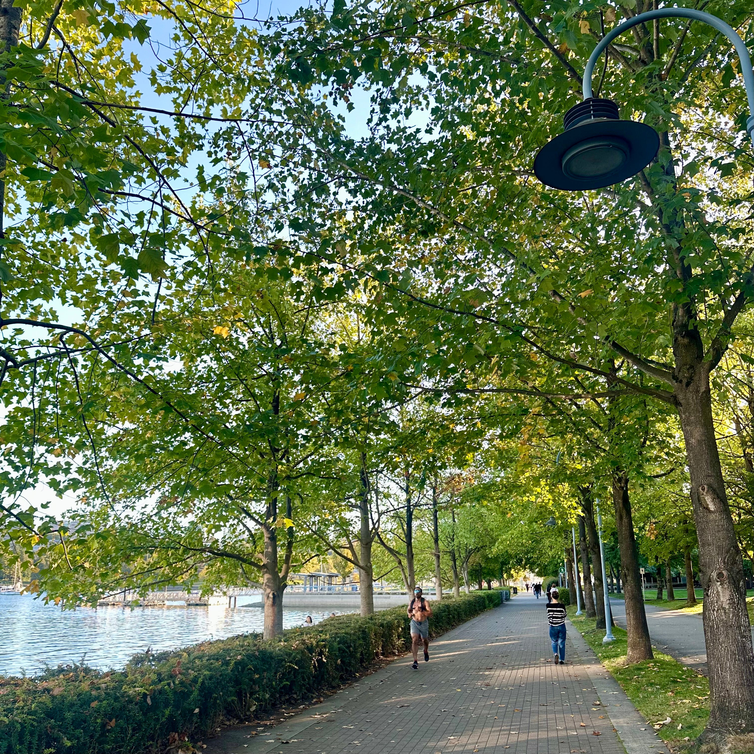 David Lam Park