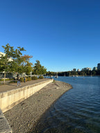 Seawall Bend Beach