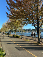 Tree Lined Bike Path