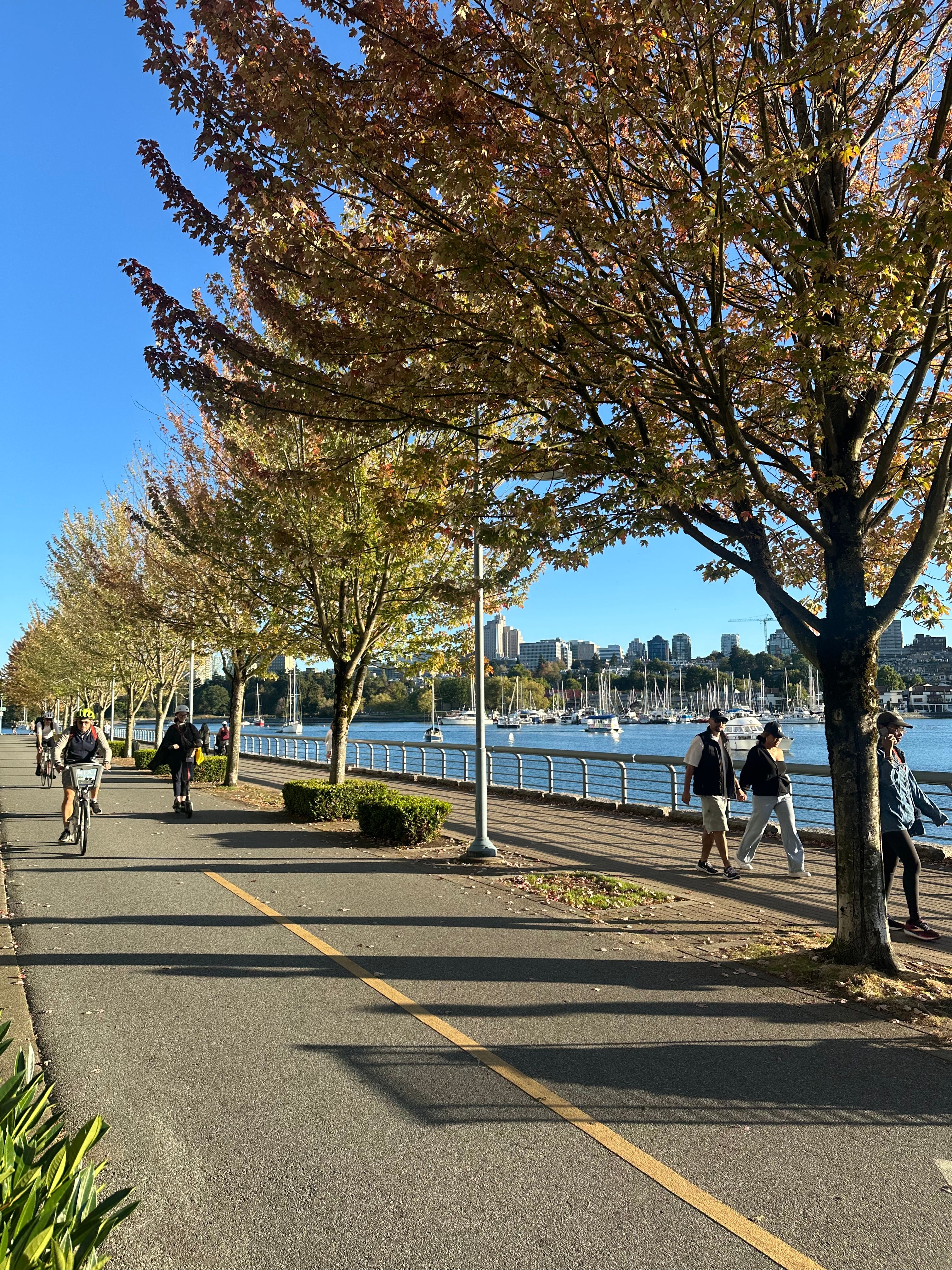 Tree Lined Bike Path