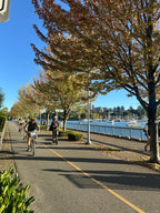 Tree Lined Bike Path