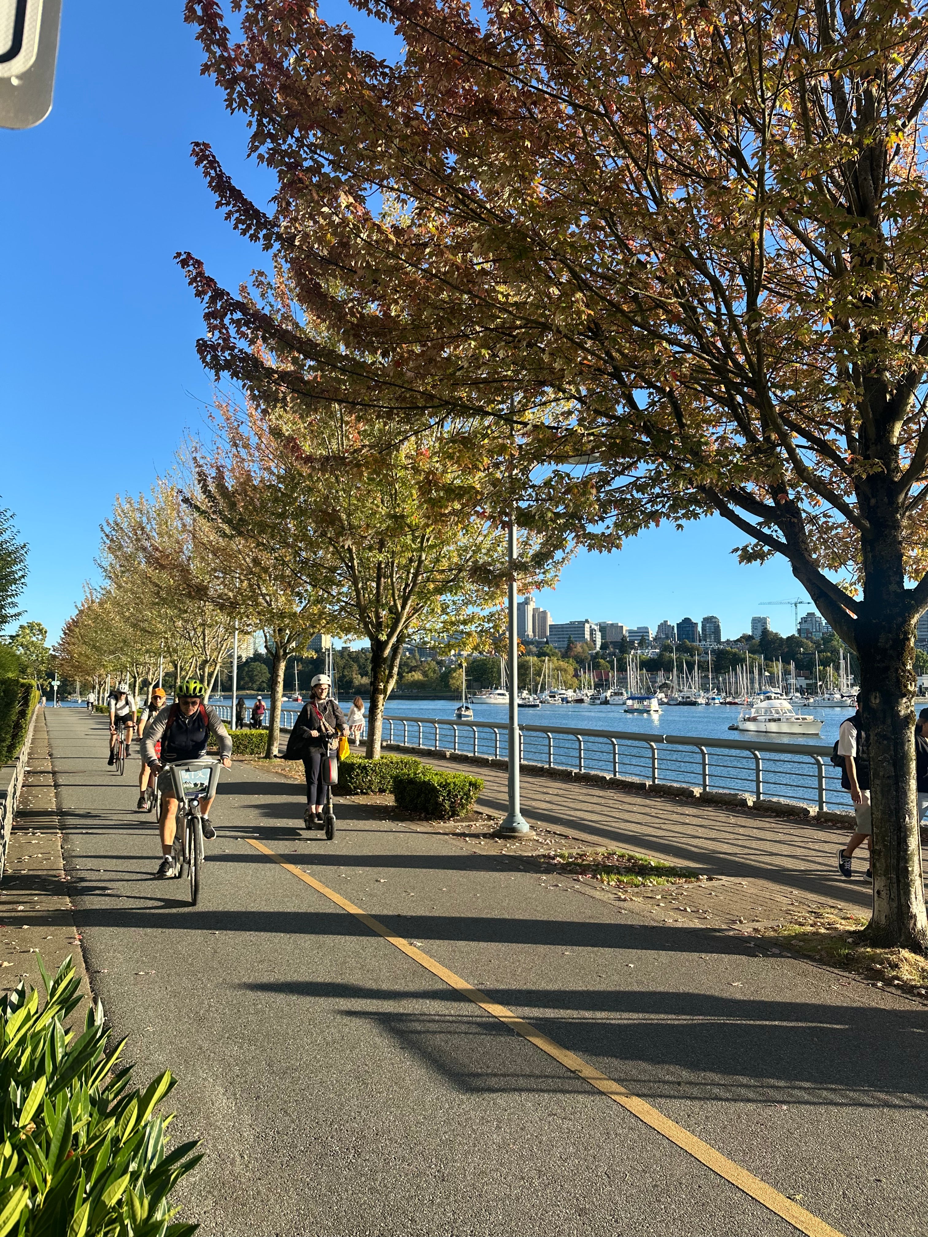 Tree Lined Bike Path