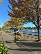 Tree Lined Bike Path