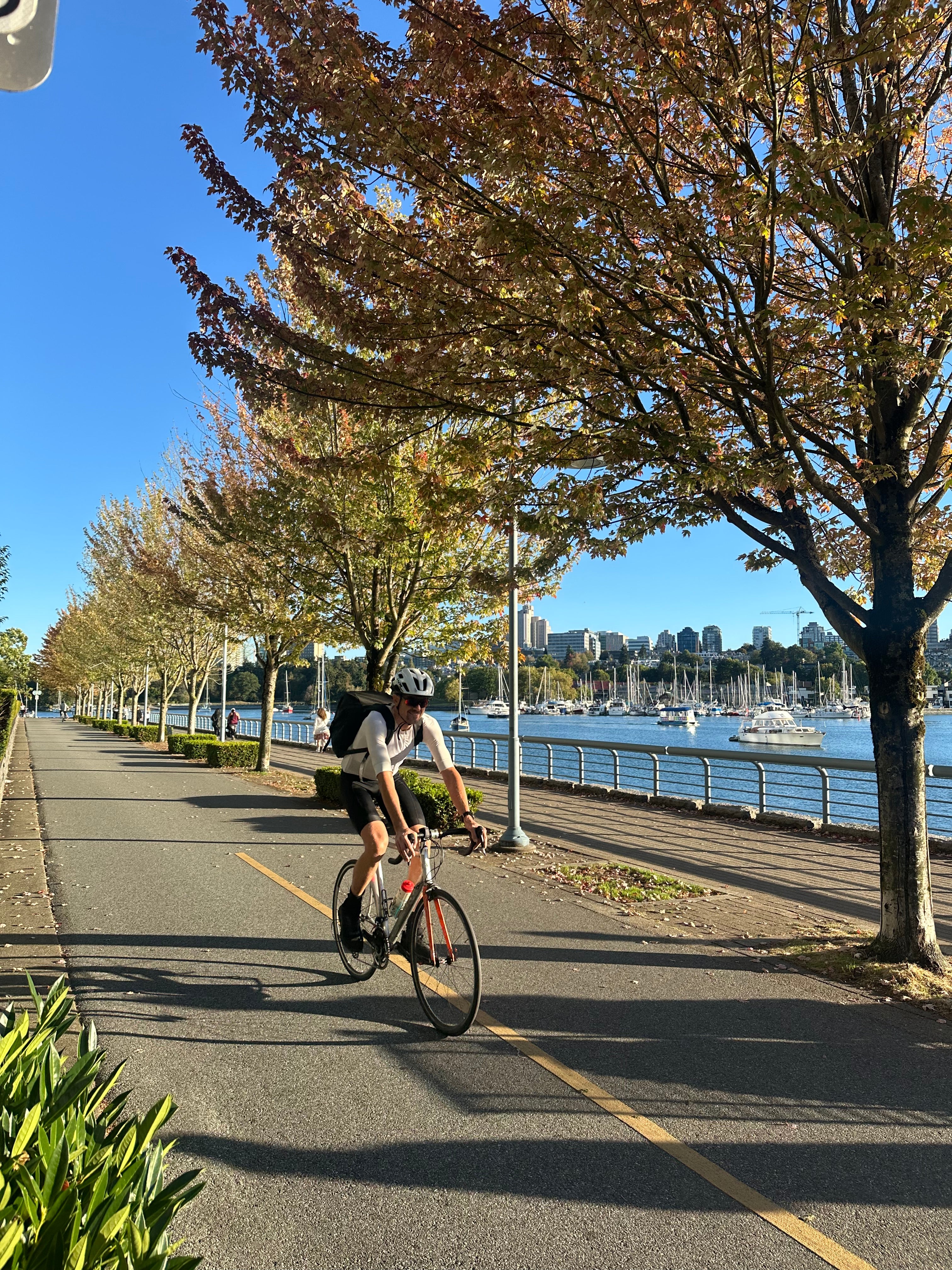 Tree Lined Bike Path