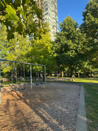Park Swingset