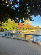 Seawall Corner