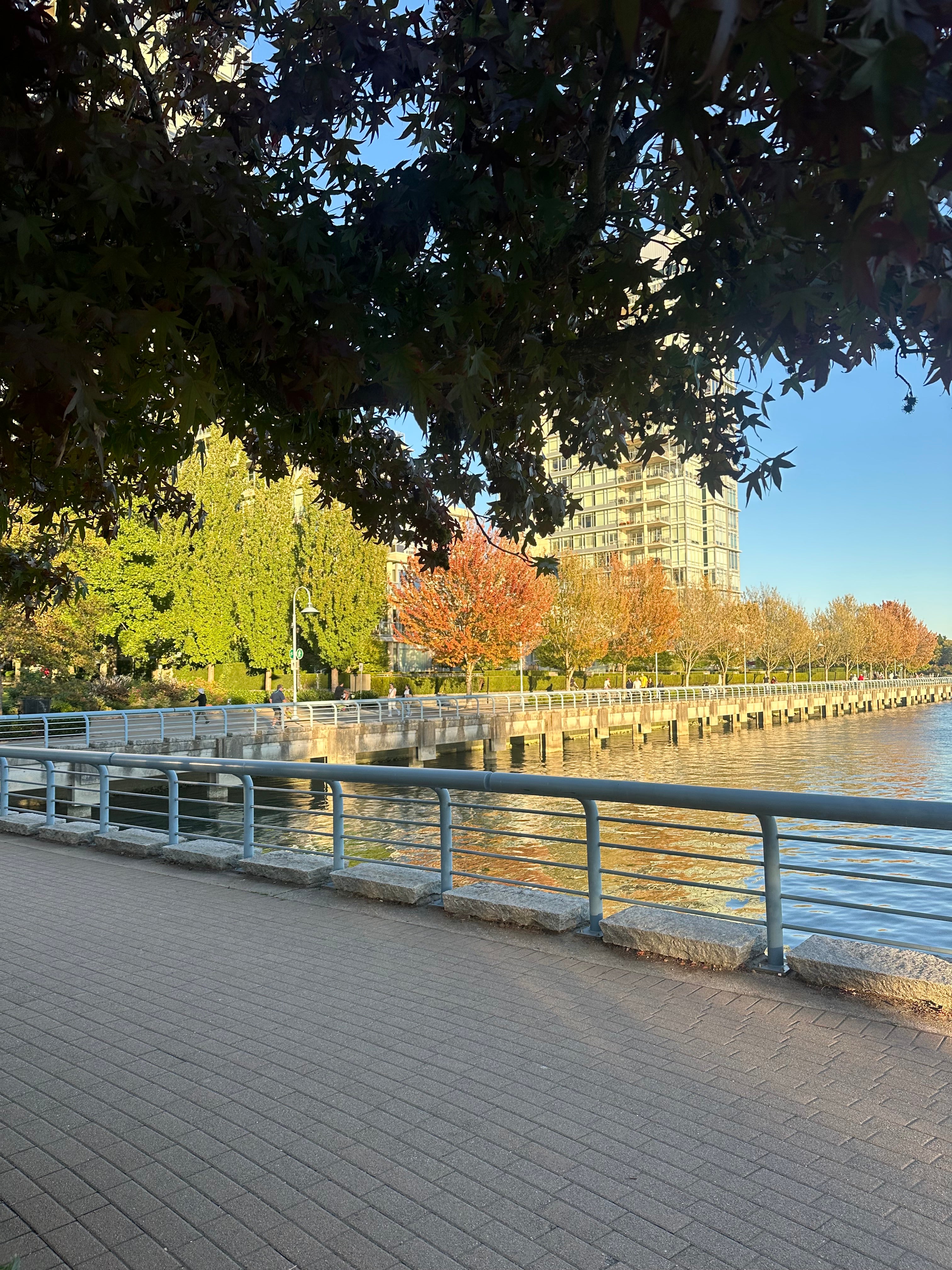 Seawall Corner