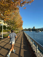 Tree Lined Seawall East