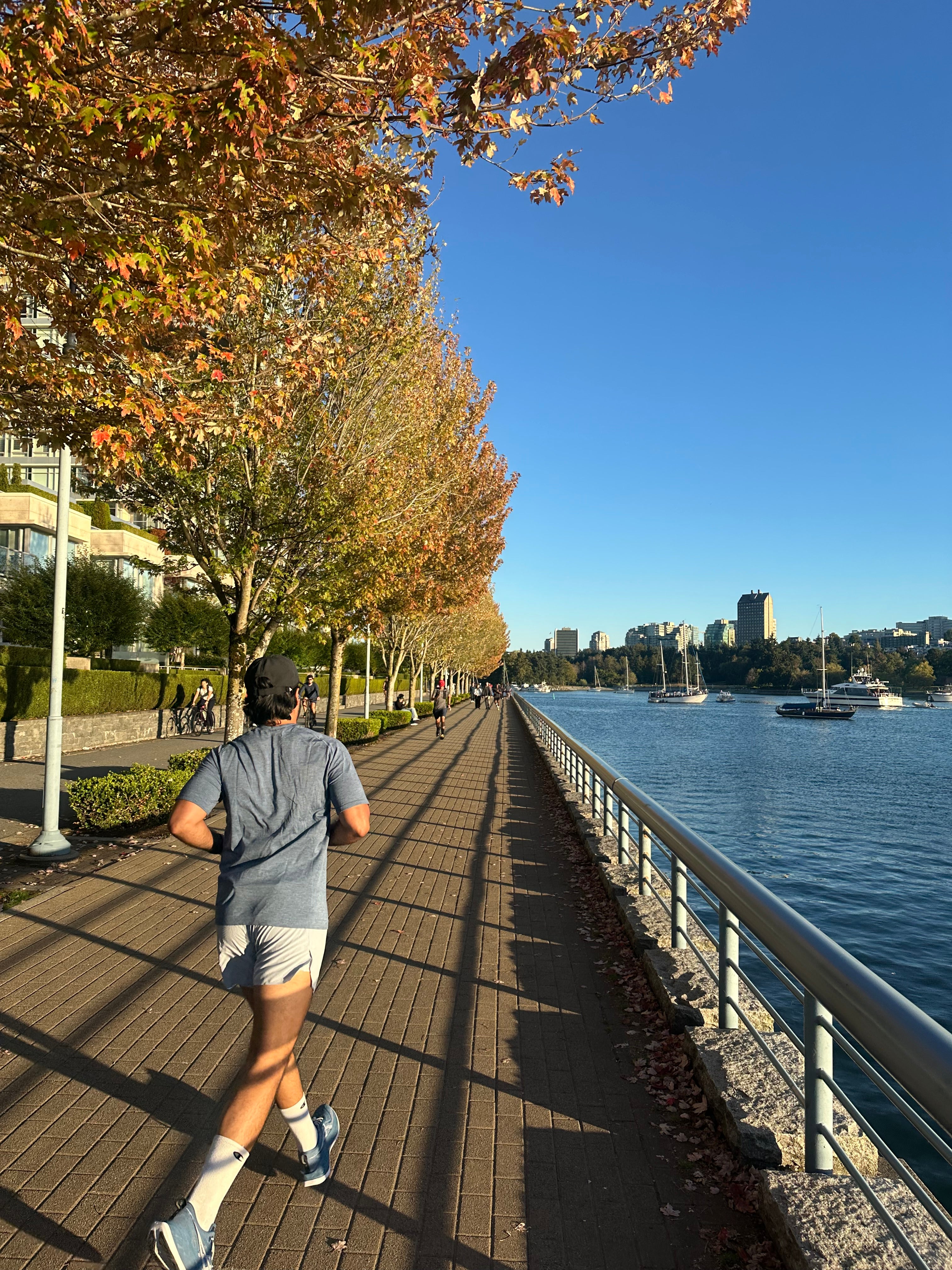 Tree Lined Seawall East