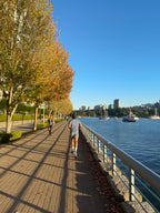 Tree Lined Seawall East
