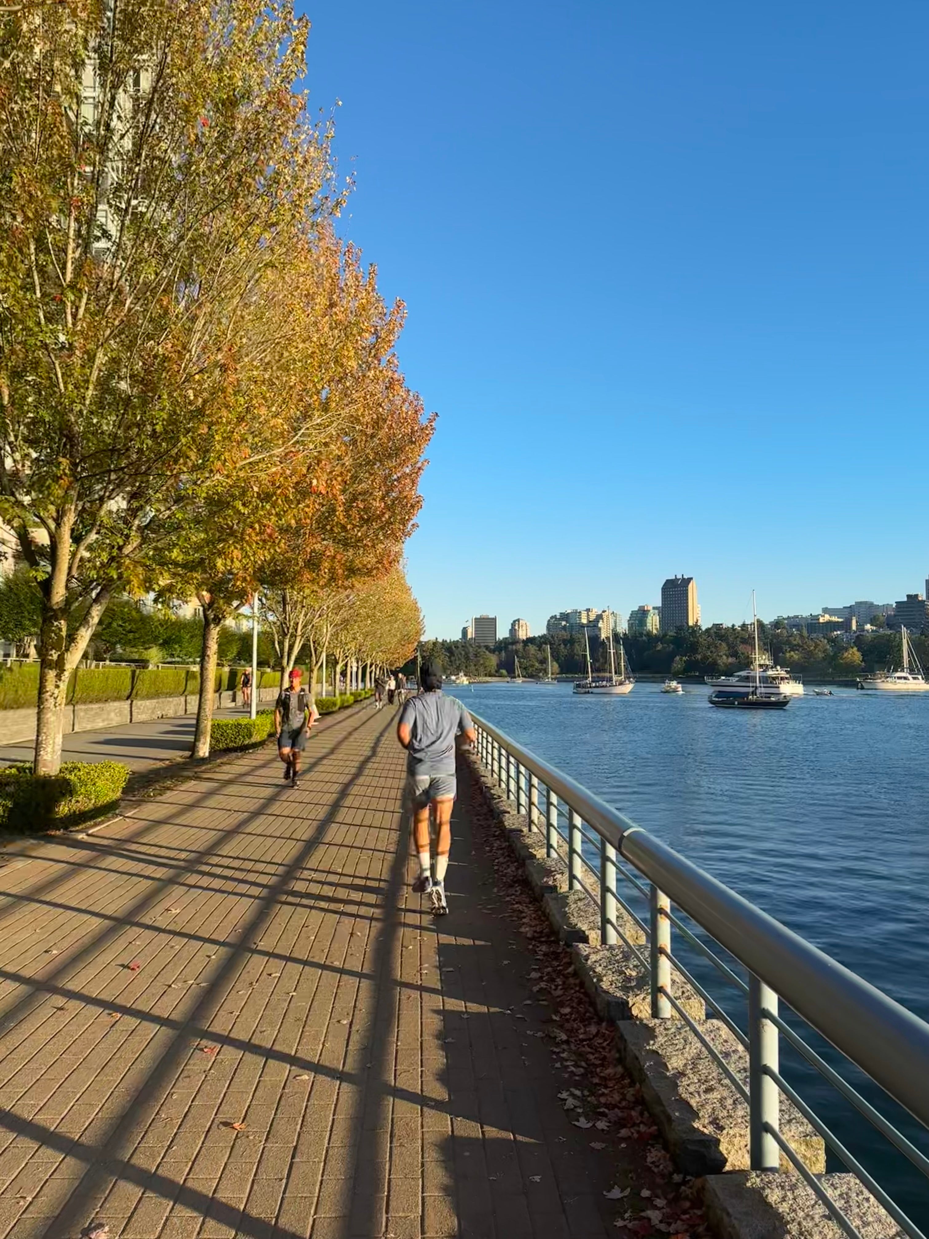 Tree Lined Seawall East