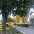 David Lam Park